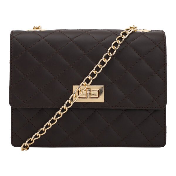 Roseberries Women Sling Bag Brown Color